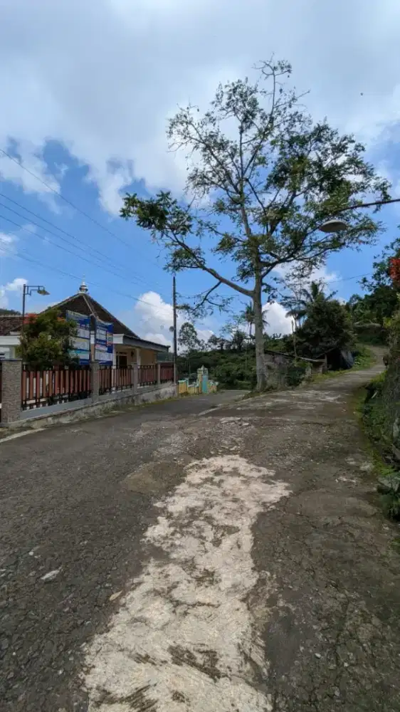 Dijual tanah sawah ngargoyoso