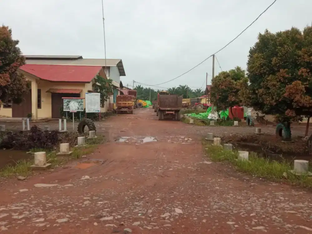 Pemanen kelapa sawit