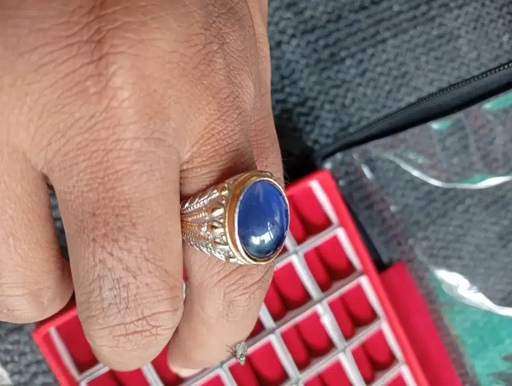 Batu cincin segoro Bunglon