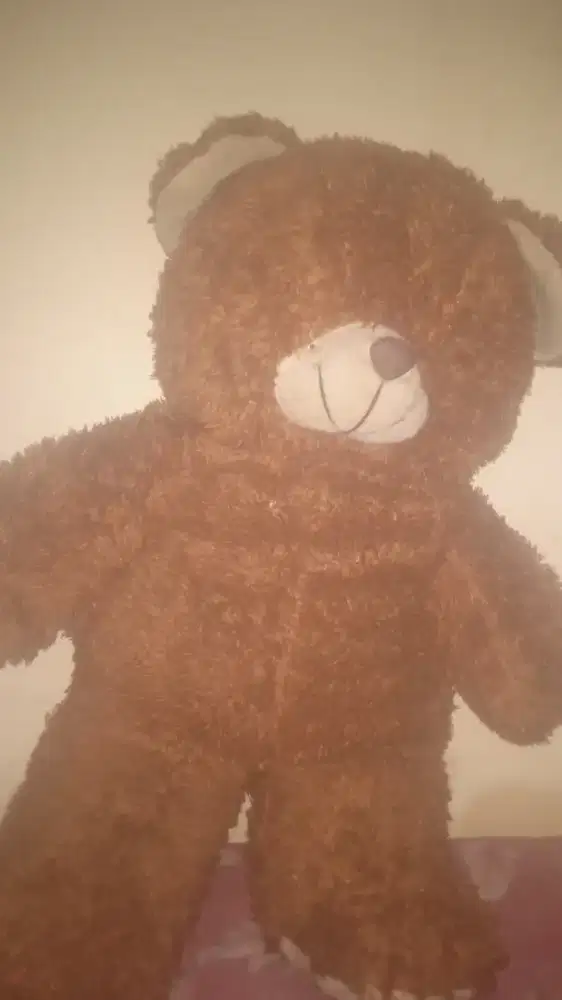 Brown Teddy Bear