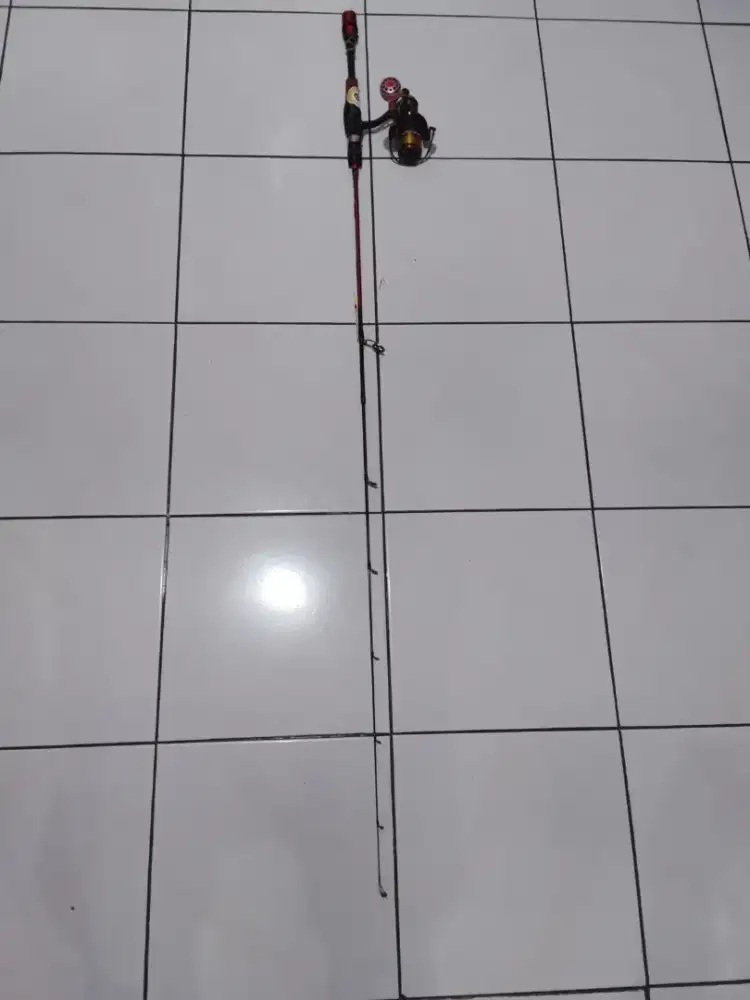 Real & joran pancing