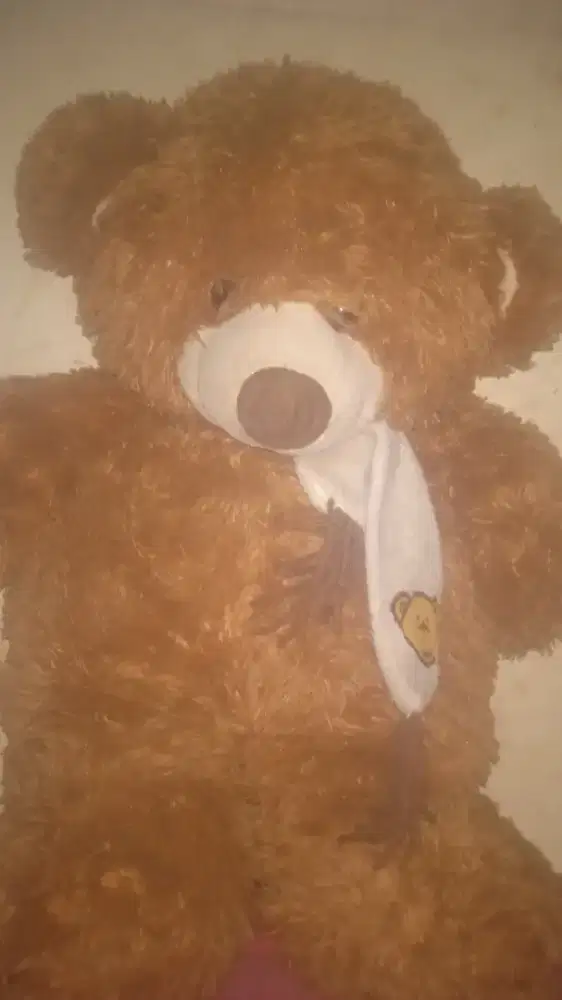 Brown Teddy Bear