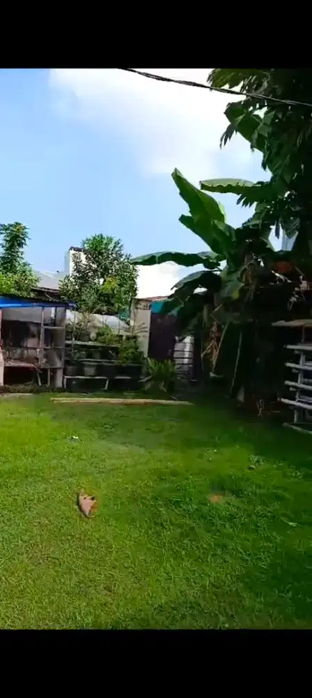 Disewakan tanah seluas 20x30 meter