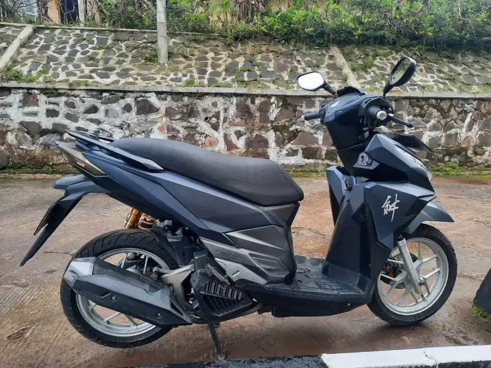 Vario 150 old LED 2016