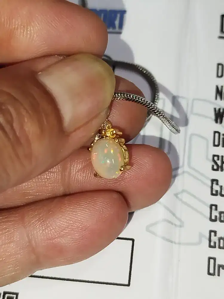 KALUNG KALIMAYA JARONG PLUS MEMO