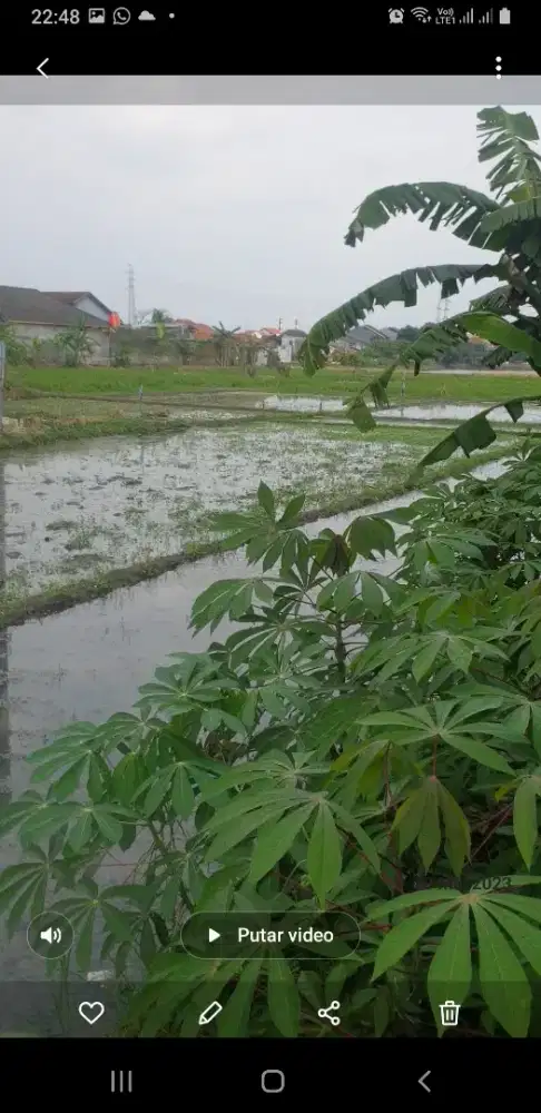 Jual Cepat Tanah di Cijawura Hilir