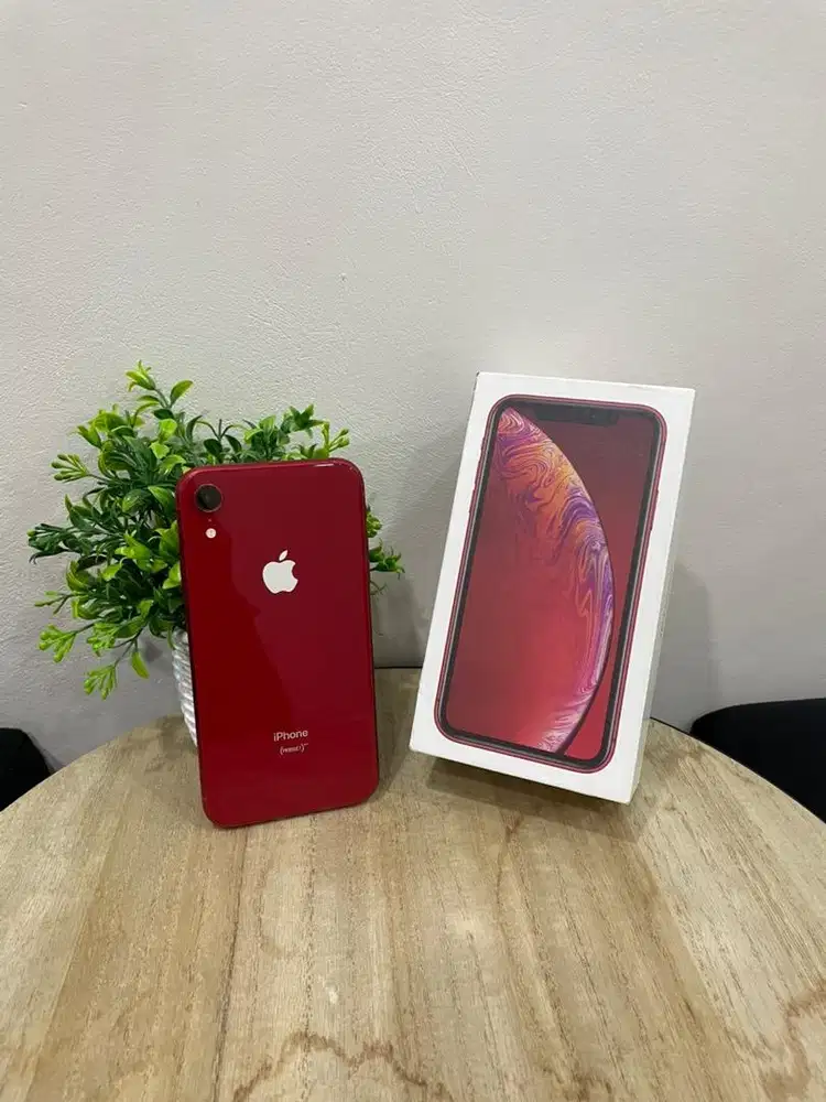 IPhone XR 128GB Red mulus Fullset BH 100% Sinyal SmartFren Only