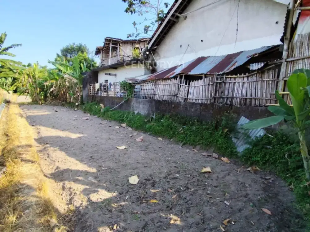 Tanah Sawah LD 7m Di Mlati Cocok Untuk Rumah Atau Usaha