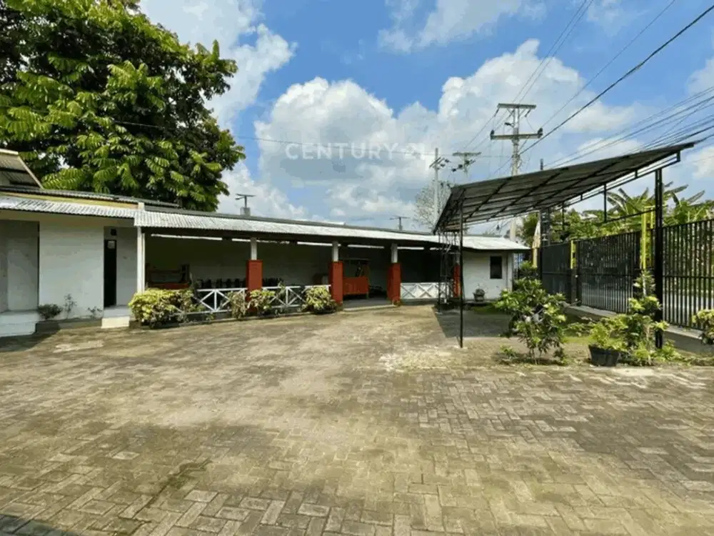 Rumah Dan Ruang Usaha DI Jl Palagan Dekat Masjid Suciati