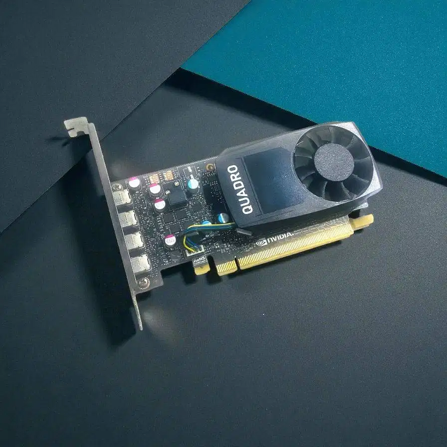 NVIDIA Quadro P600 2GB GDDR5 128bit Murahhh