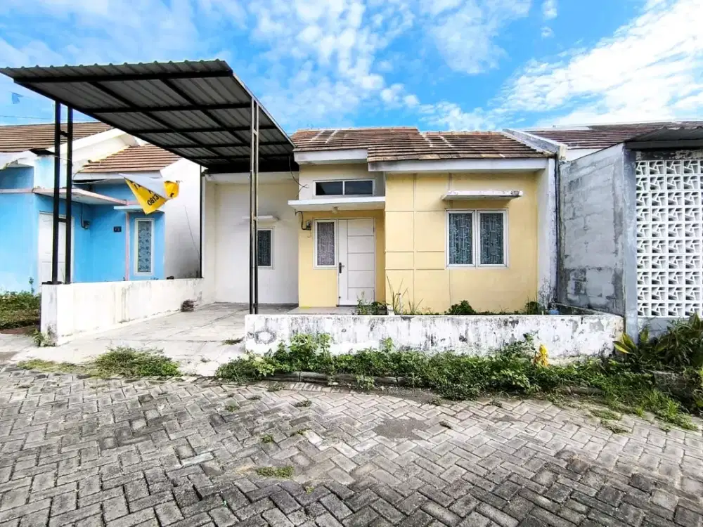 Di JuaL Cepat Green Eleven Bangil