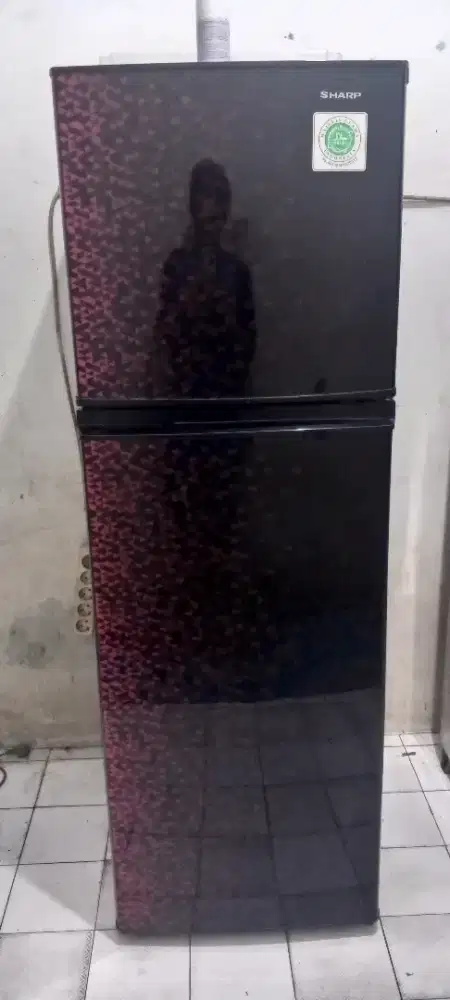 Kulkas Sharp 2 pintu jumbo