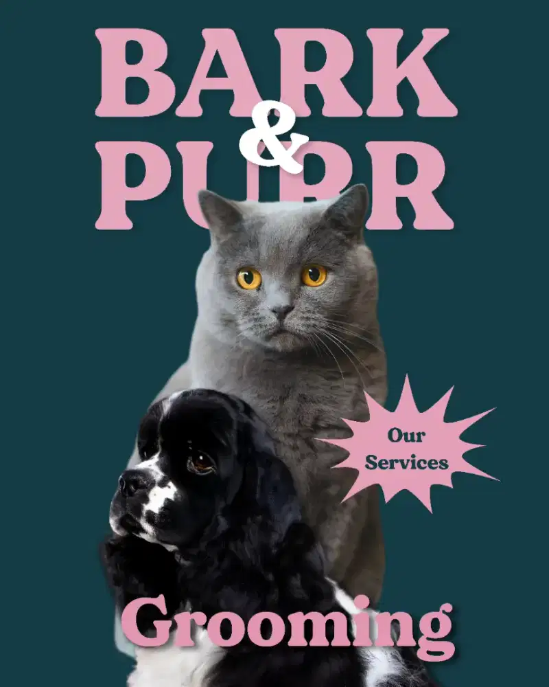 Groomers stylist salon hewan mobile