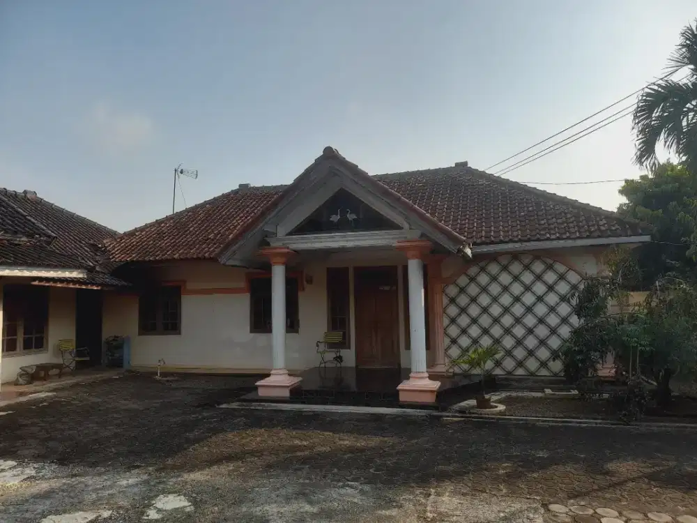 Rumah Nyaman Tanah Luas 1.850 m² – Lingkungan Tenang & Dekat Sekolah