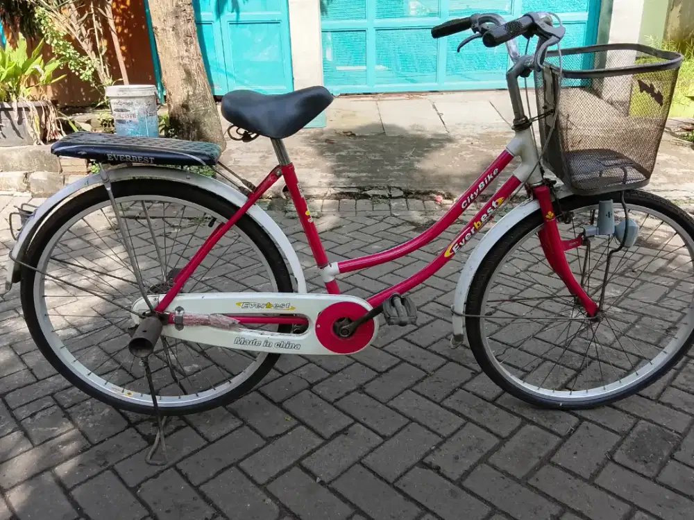 Sepeda mini keranjang dewasa