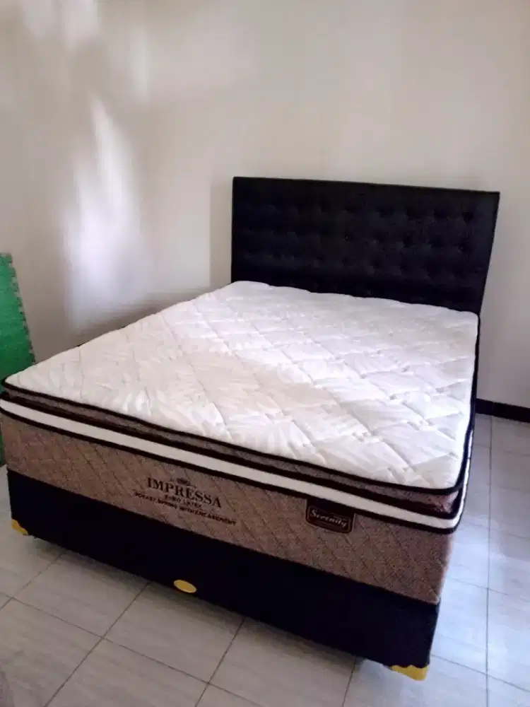 ELITE SERENITY IMPRESSA POCKET LATEX