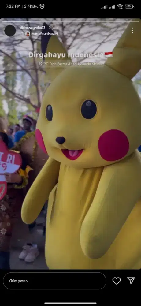 Jual Kostum Cosplay Pikachu