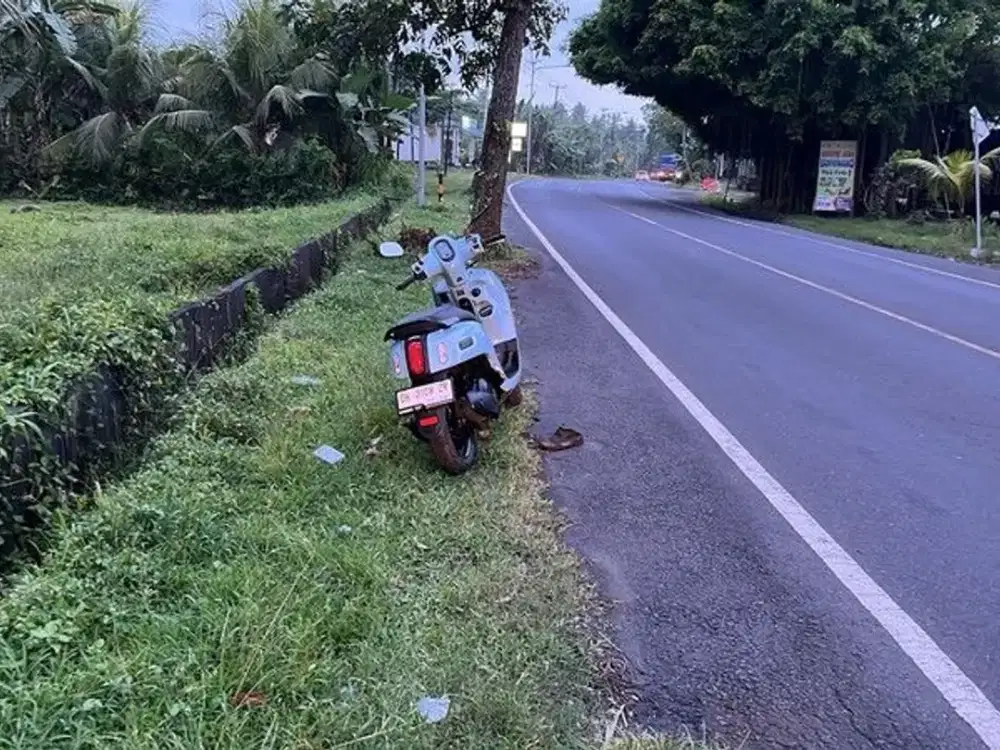 Leasehold - Land Prime in Jembrana, Bali