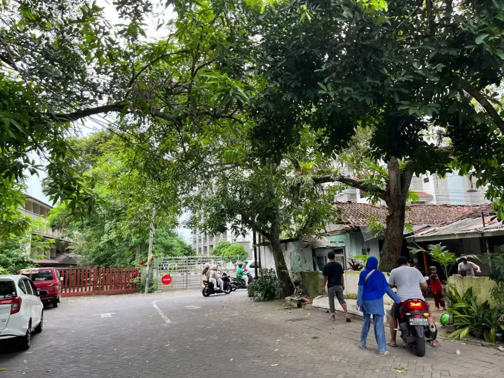 Ini Yang Anda Cari? Tanah POGUNG, UGM. Bisa Tempo