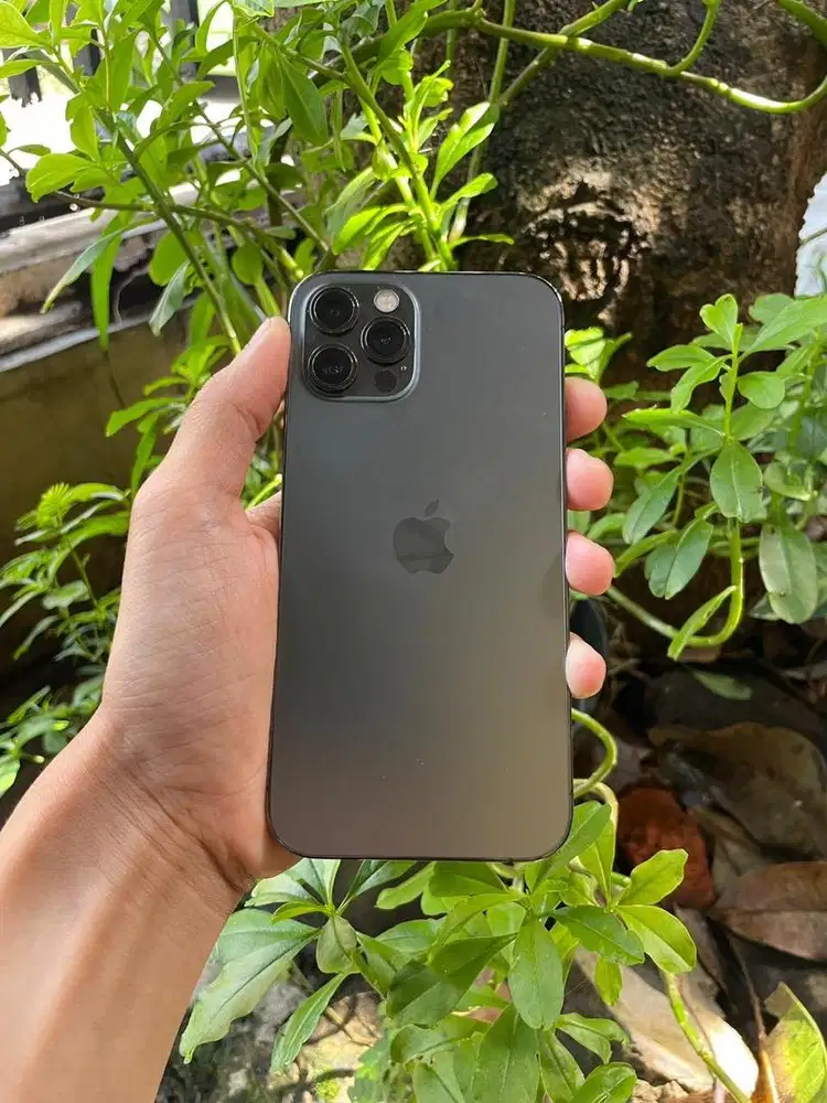 IPhone 12Pro Resmi Beacukai