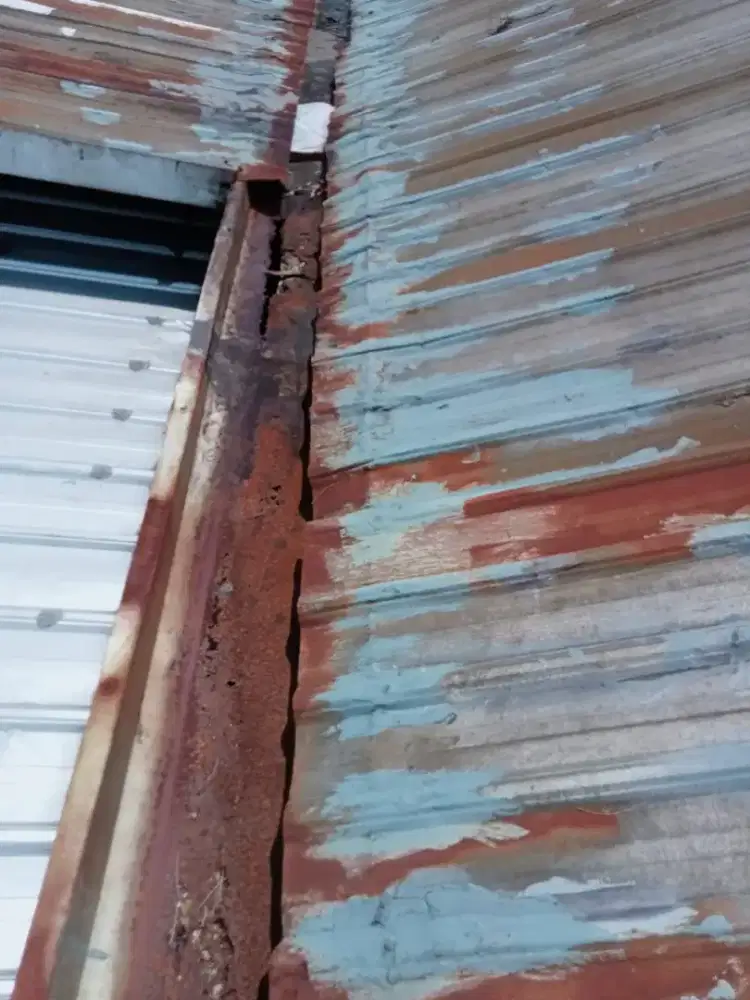 Tukang perbaikan atap bocor, talang air plapon dll, tukang bagunan dll