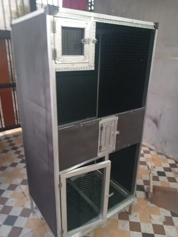 kandang ternak muray dan kandang ternak ocehan lainnya