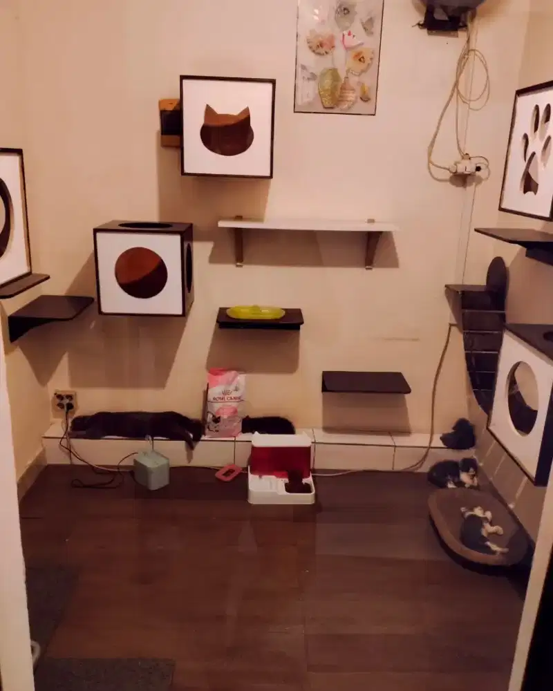 Cat house/ playground