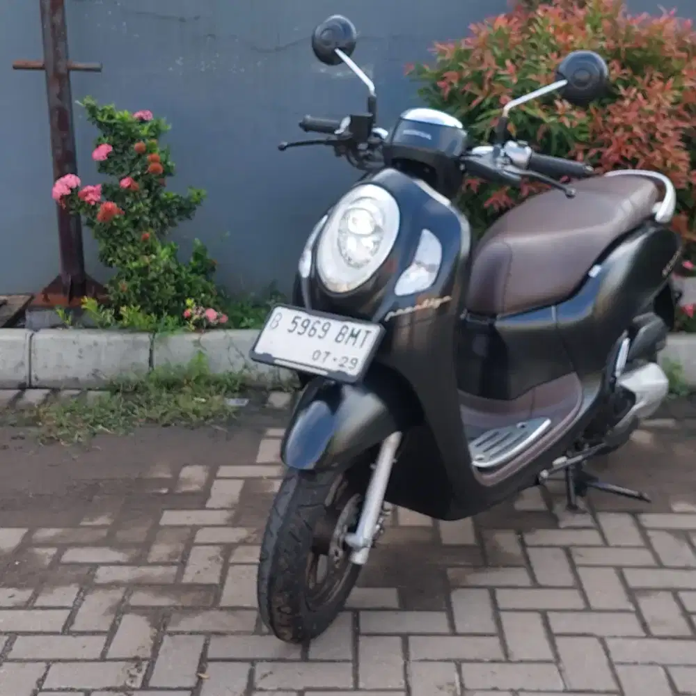 Honda scoppy keyles 2024 dp 500rb.