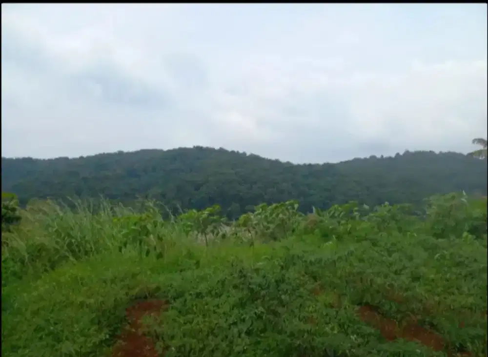 Jual Tanah Perbukitan Kutawaringan Cianjur