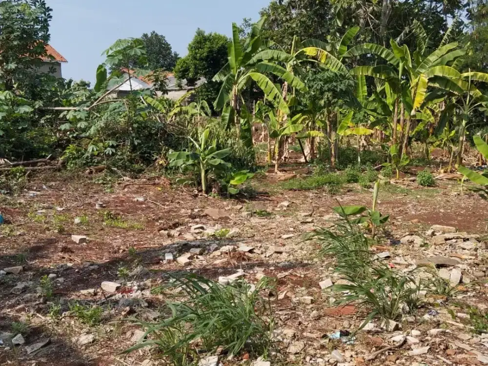 Dijual Tanah Area Pamulang