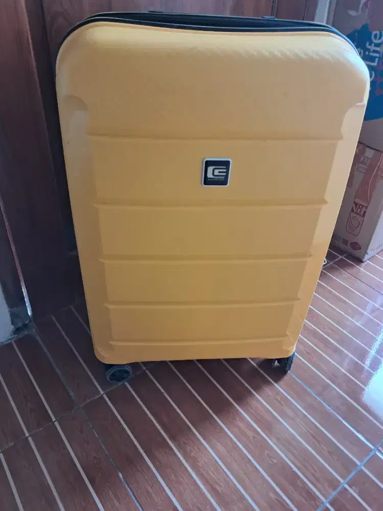 Koper 24 yellow inchi double wheel