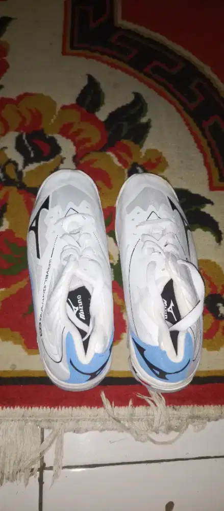 Sepatu Sport Merek Mizuno