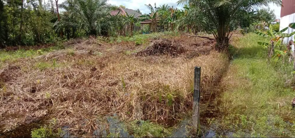 Dijual Tanah Kavling Murah di Palangkaraya 972 m² SHM