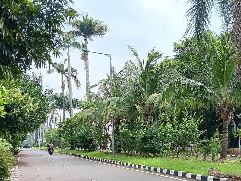 Dijual Tanah Murah Bonus Rumah di Billymoon Pondok Kelapa Duren Sawit Jakarta