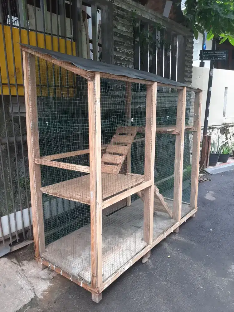 Kandang kucing bertingkat