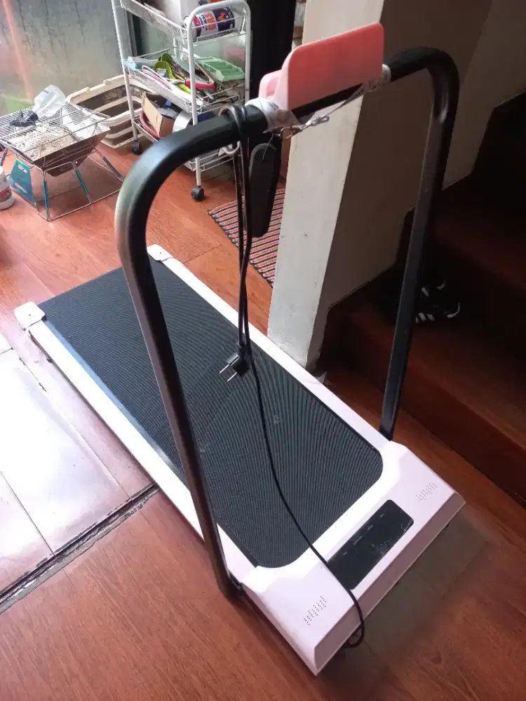 Treadmill soarfly