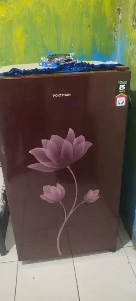 Kulkas polytron 1 pintu