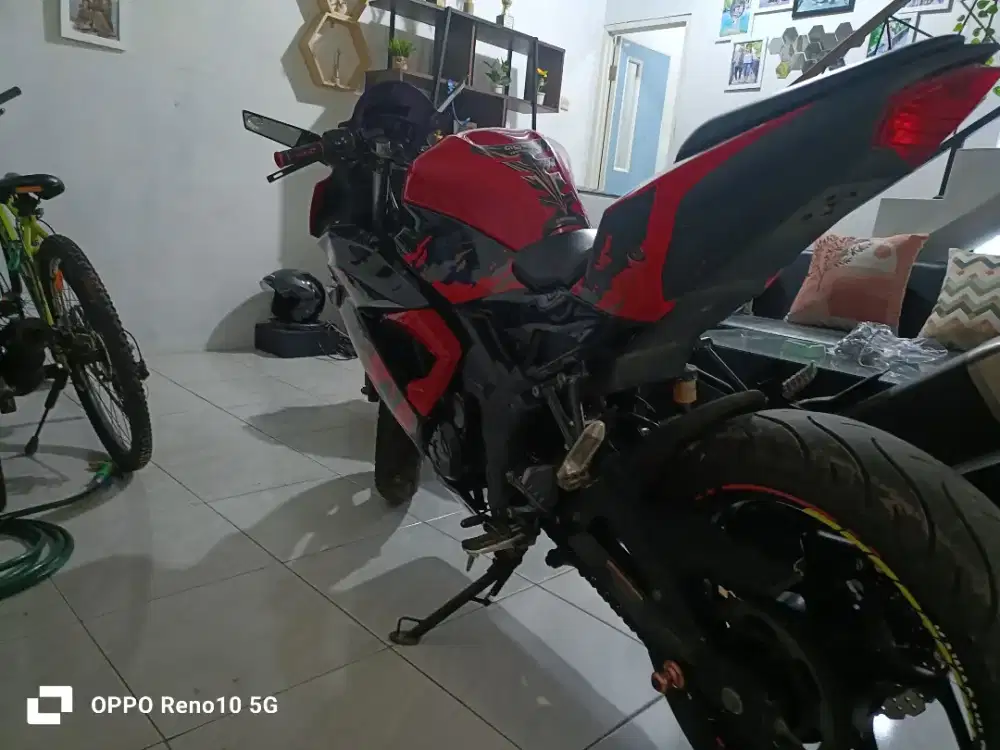 Kawasaki ninja 250 SL