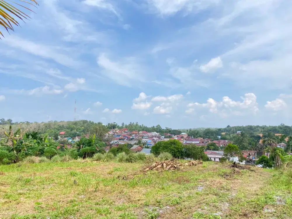 Tanah Murah Simpang Rimbo Dekat SMP 22