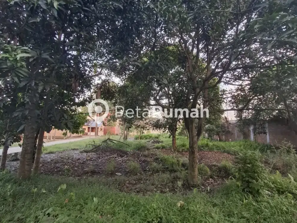 DIJUAL TANAH JALAN PERINGGAN DUSUN XVI - TEMBUNG