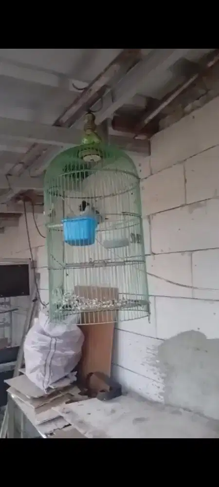 Kutilang Materi Kenarian