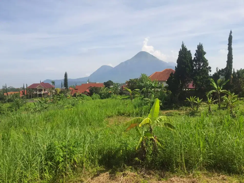 *Dijual Villa Bukit Trawas Garden*