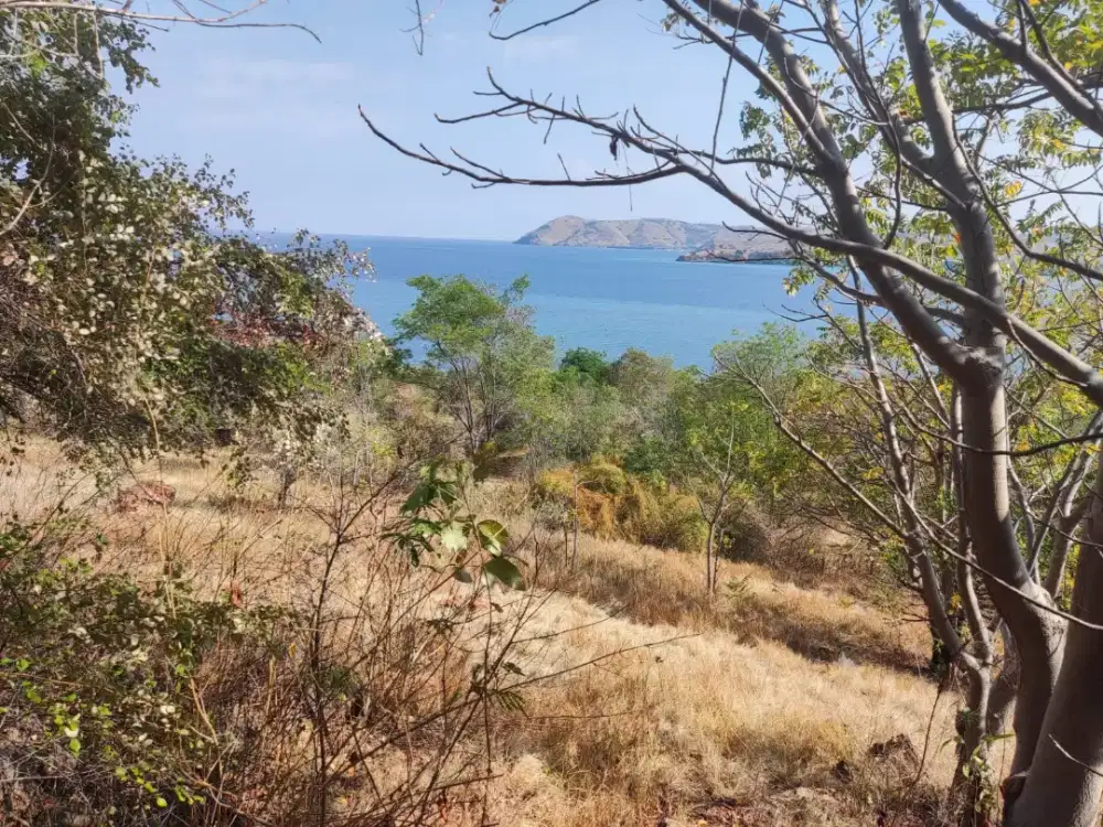 Tanah dipinggir pantai Labuan bajo view pulau sraya kecil