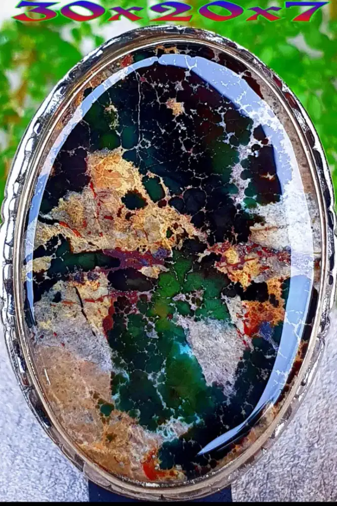 Pirus Persia Jumbo Lawasan warna Deep Green