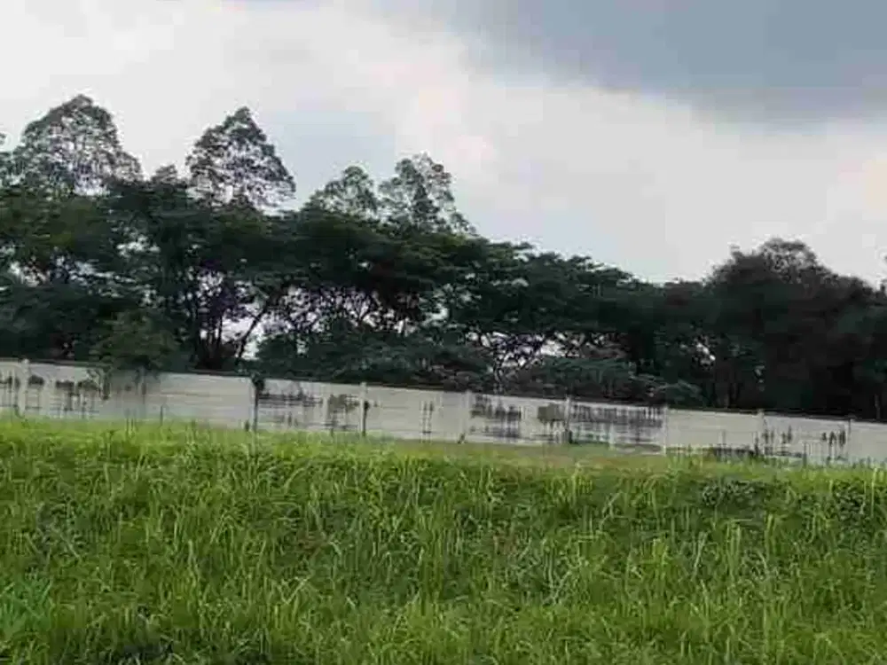 Termurah Disewakan Kavling Commercial Greenwich Jl. BSD RAYA UTAMA Perbatasan BSD City dan Gading Serpong Lokasi Strategis dan Ramai