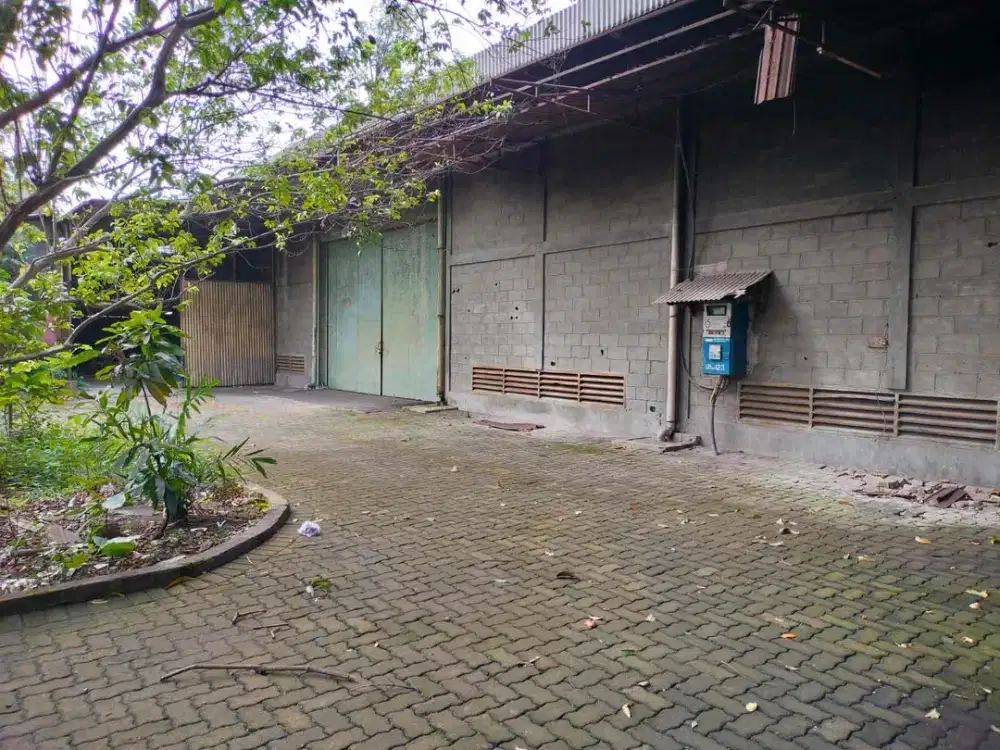 Disewakan Gudang Ex Gudang Kertas Strategis Dekat Tol Bebas Banjir di Pasar Rebo Jakarta Timur