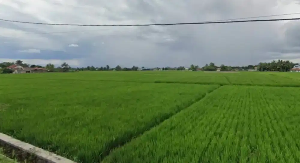 Dijual Sawah Produktif Cianjur Ciranjang