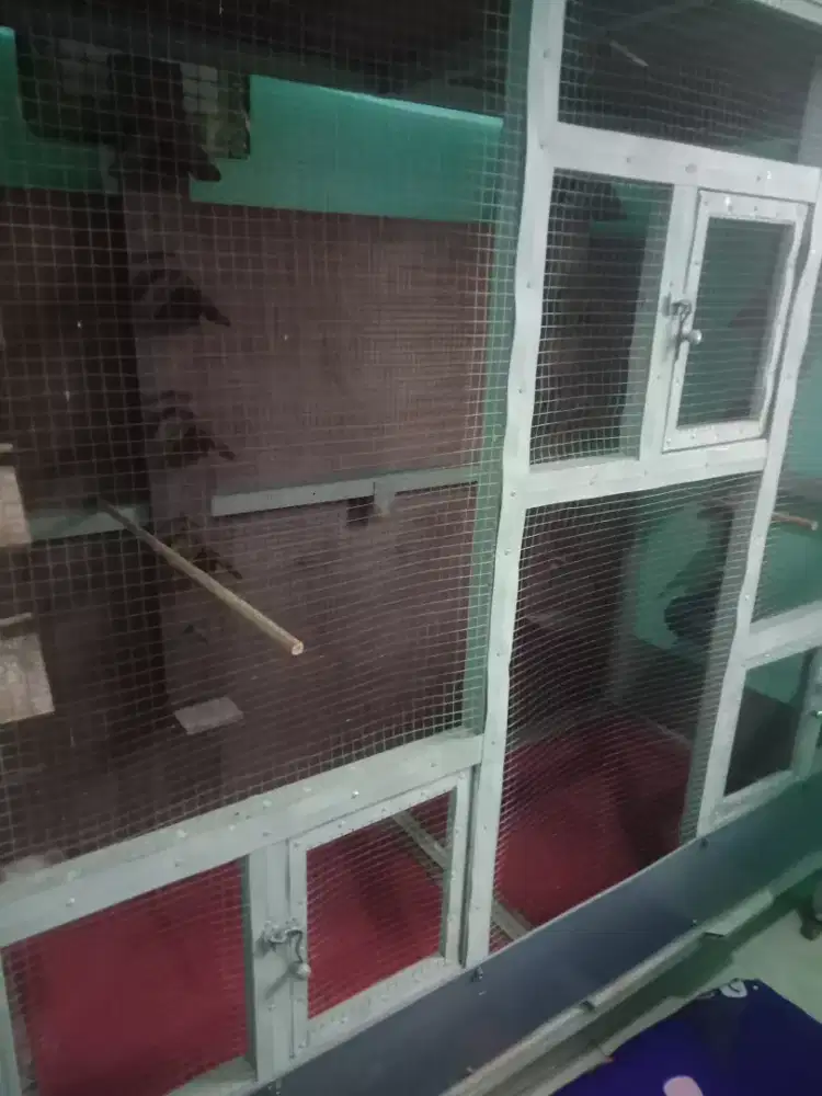 Jual sangkar ukuran besar cocok buat ternak kan burung apa pun