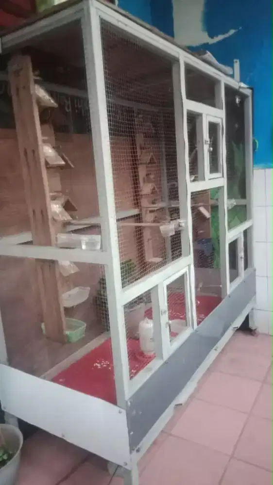 Jual sangkar ukuran besar cocok buat ternak kan burung apa pun