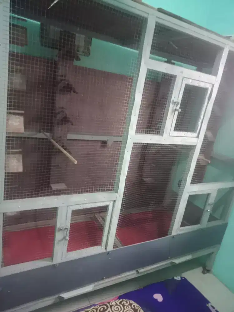 Jual sangkar ukuran besar cocok buat ternak kan burung Apa pun